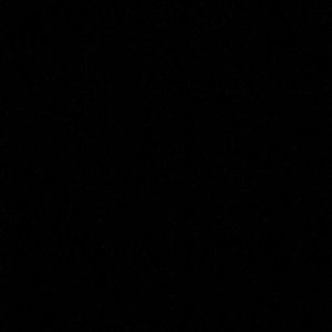 Meet your Posher, Anjenesha